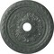 Ekena Millwork Palmetto Medallion (Canopies up to 3 5/8"), 23 5/8"OD x 3 5/8"ID x 1 5/8"P, Athenian Green Crackle CM23PMAGC - alternate 1